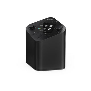 SHARP Oslo DR-IP630 Portable Smart Radio