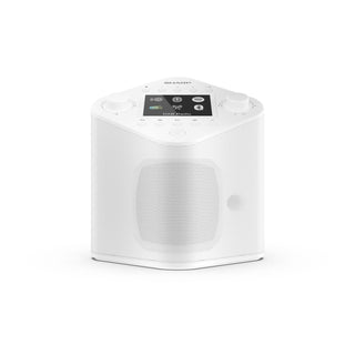 SHARP Oslo DR-IP630 Portable Smart Radio