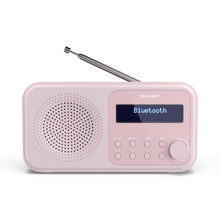 SHARP Tokyo Portable Digital Radio DAB/DAB+/FM