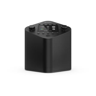 SHARP Oslo DR-IP630 Portable Smart Radio