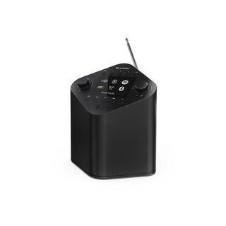 SHARP Oslo DR-IP630 Portable Smart Radio