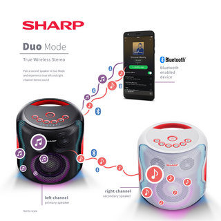 SHARP 130W Indoor/Outdoor Waterproof Portable Party Speaker