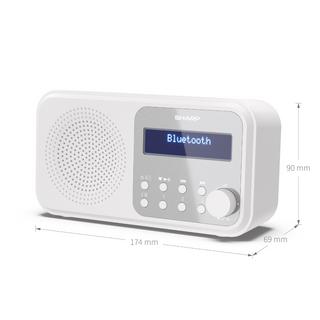 SHARP Tokyo Portable Digital Radio DAB/DAB+/FM