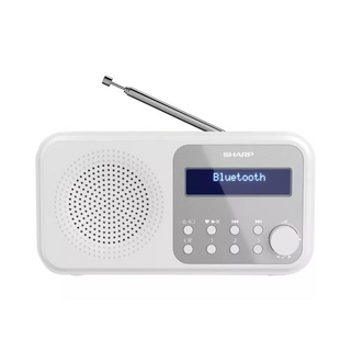 SHARP Tokyo Portable Digital Radio DAB/DAB+/FM