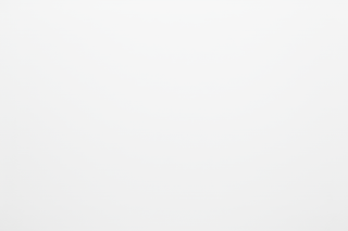 plain white background